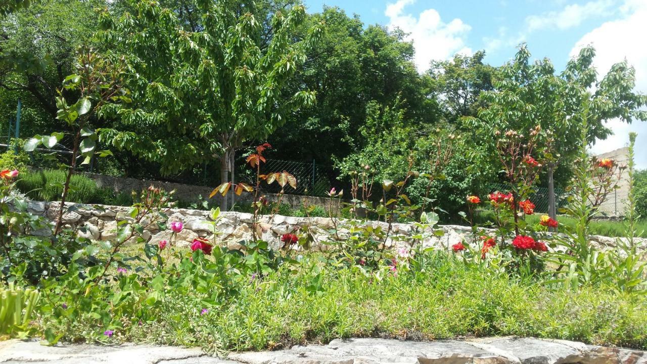Villa Cetina Milasi Luaran gambar