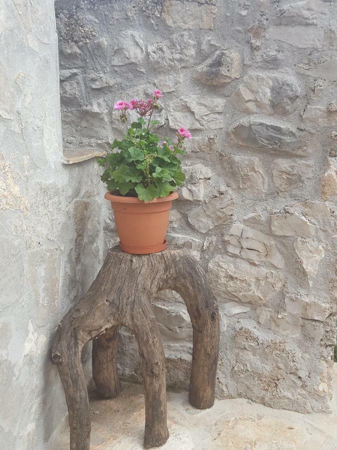 Villa Cetina Milasi Luaran gambar