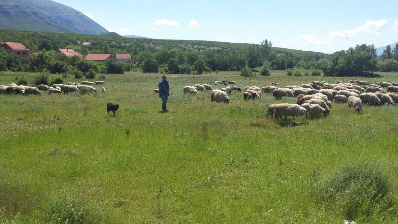 Villa Cetina Milasi Luaran gambar
